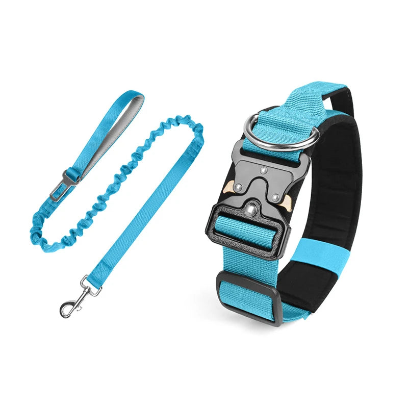 collier et laisse d'intervention pour chien berger allemand