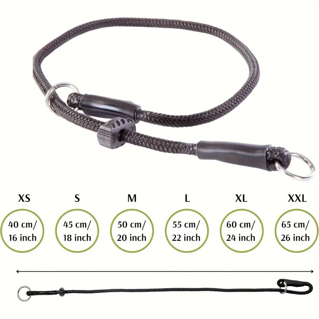 laisse collier étrangleur