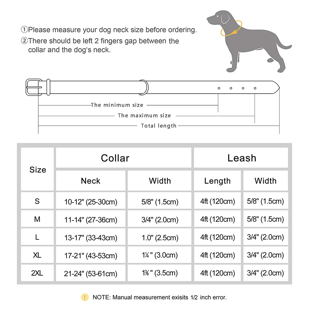 laisse et collier en cuir pour chien
