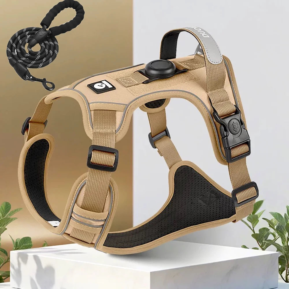 ensemble harnais laisse pour chien