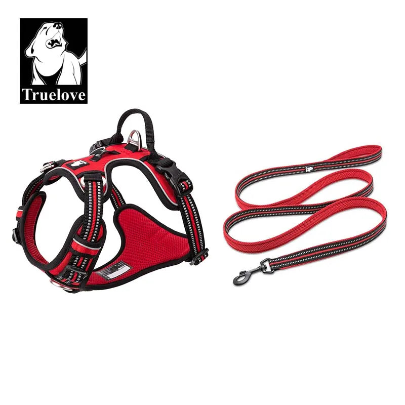 harnais laisse en nylon 2 cm largeur pour chien