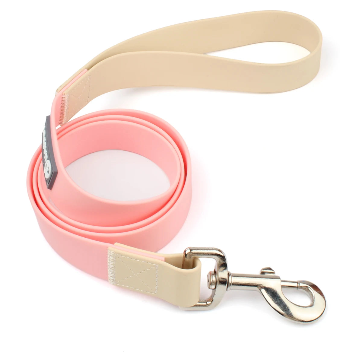 collier et laisse pour chien