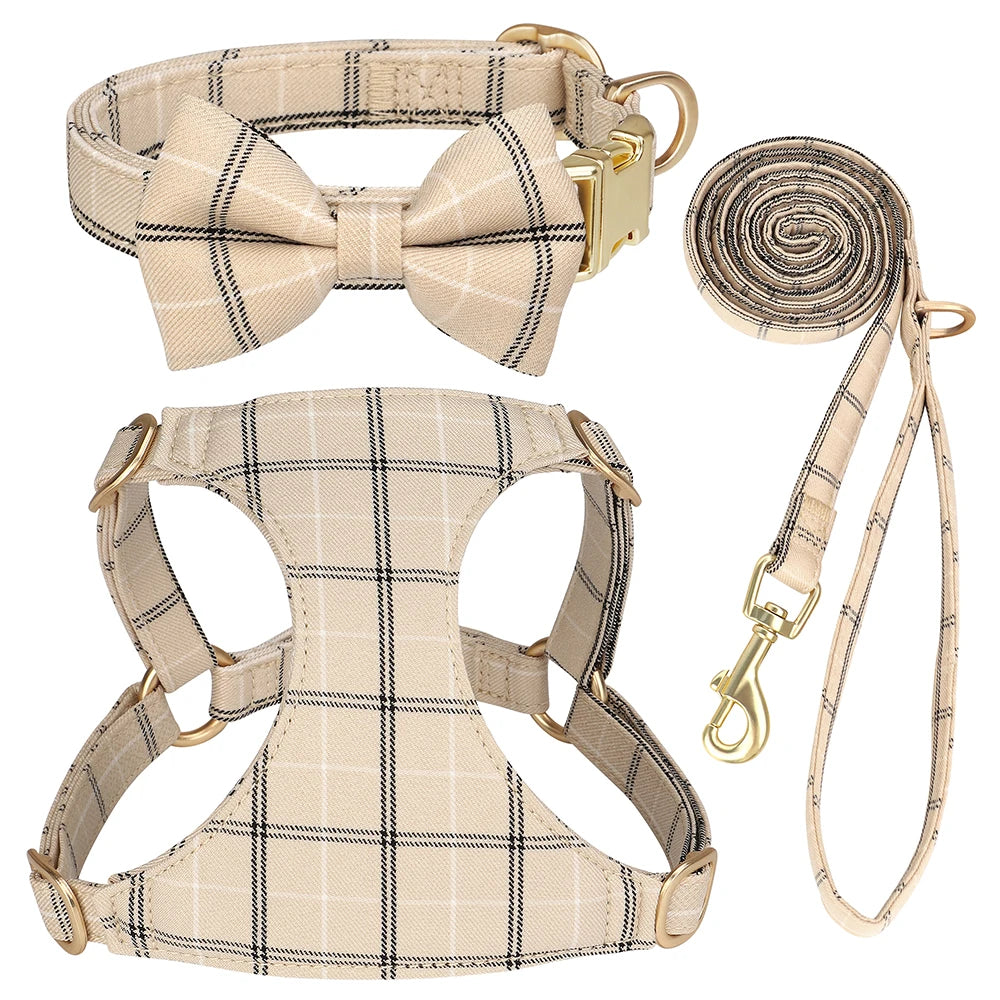 collier et laisse pour chien girly