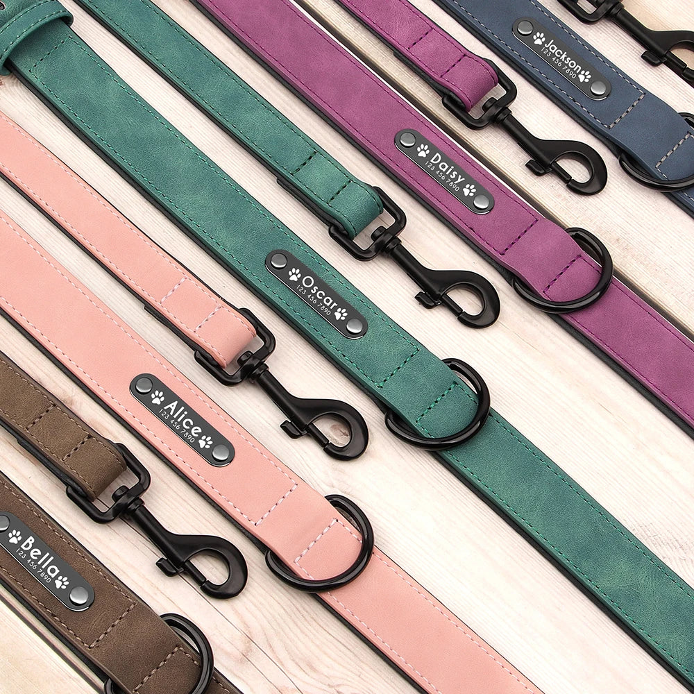 laisse et collier en cuir pour chien
