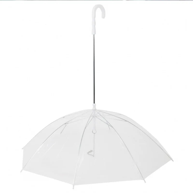 laisse parapluie