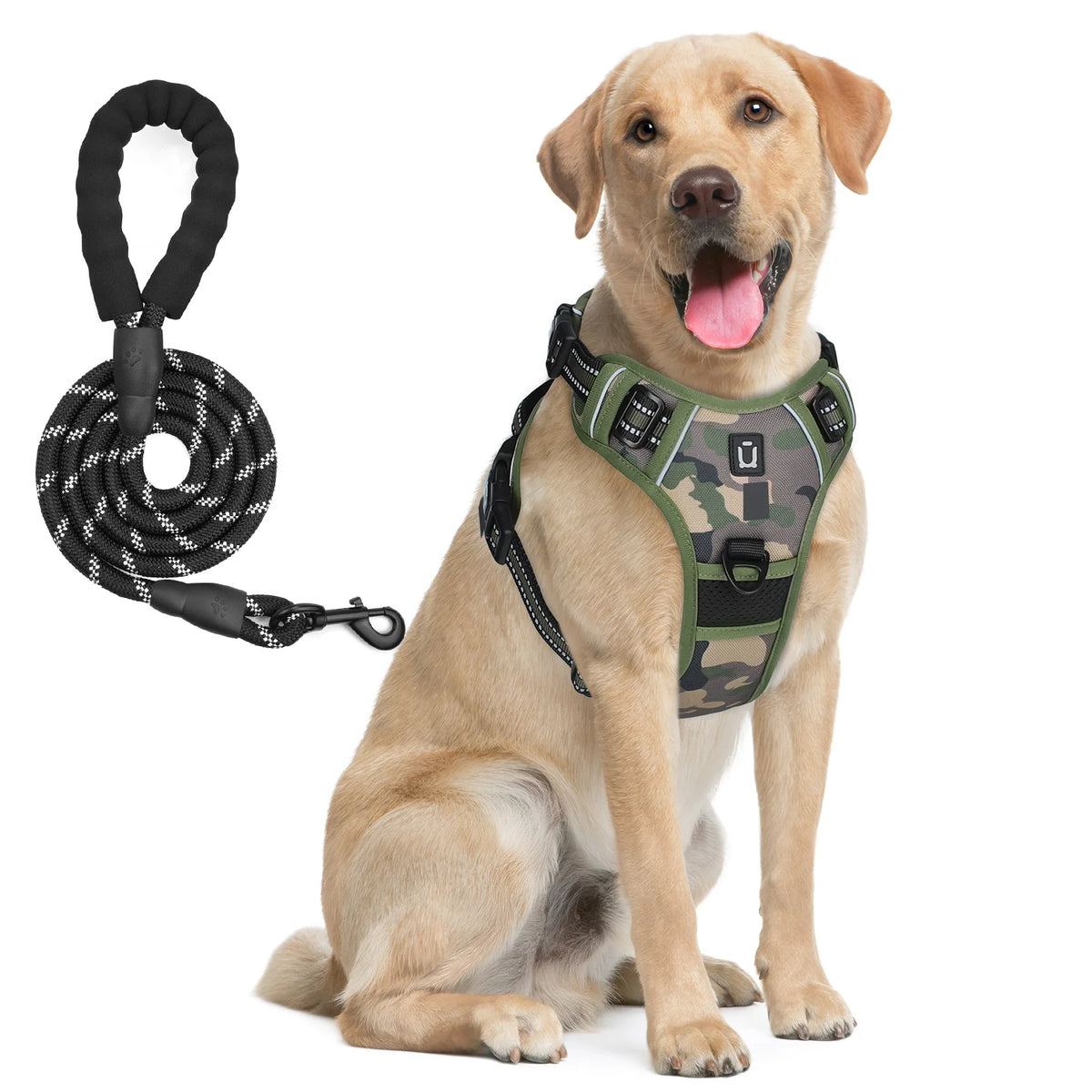 harnais laisse pour chien bleu