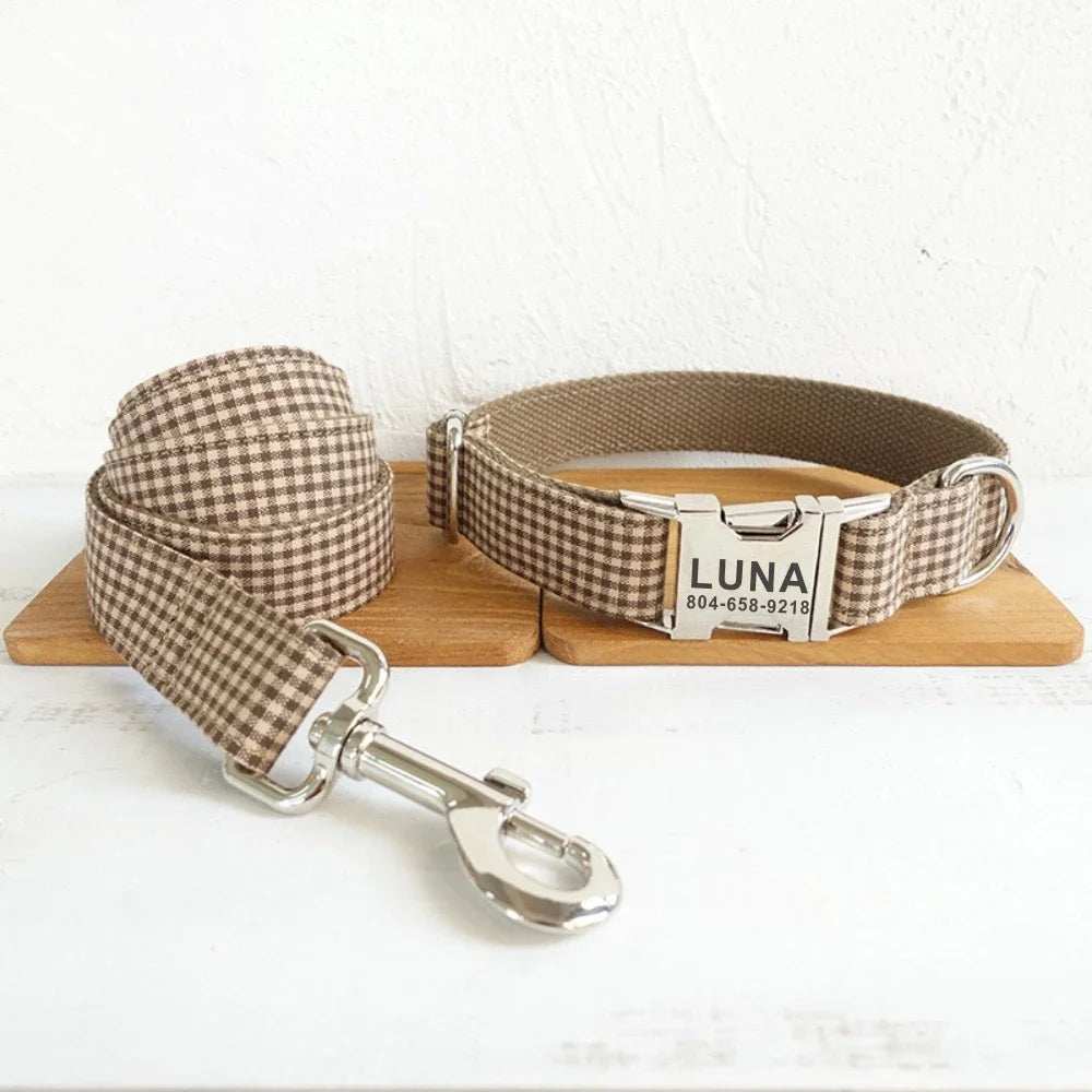 laisse plate pour chien