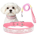 collier et laisse strass pour chien