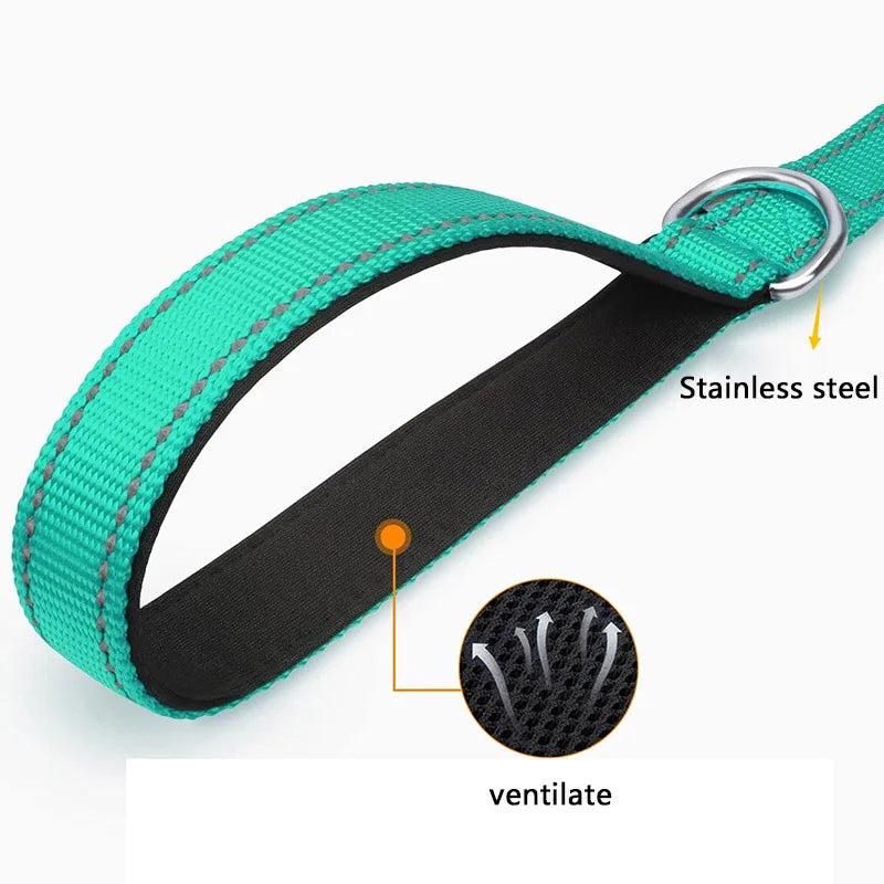 collier et laisse assorti pour chien