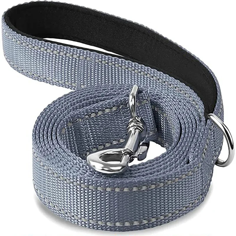 laisse sangle pour chien