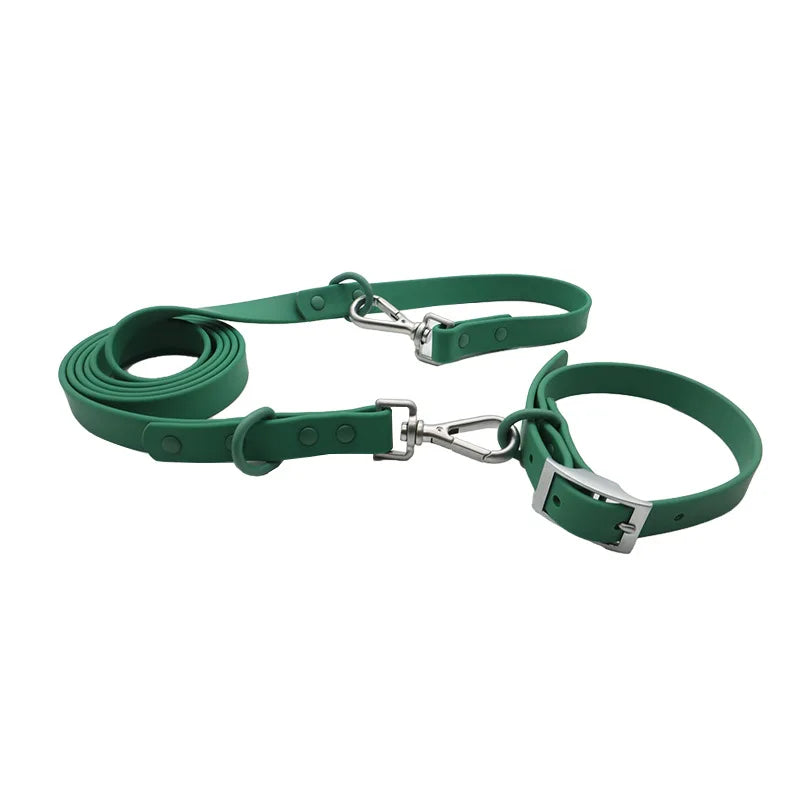 collier et laisse bleu brillante pour chien