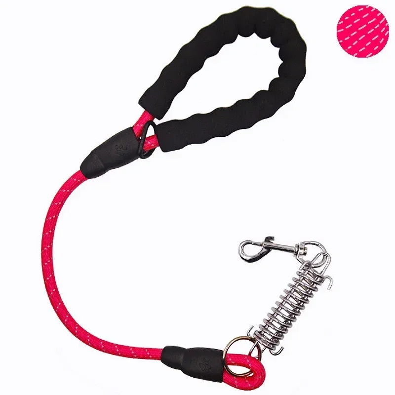 laisse ressort pour chien