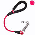 laisse ressort pour chien