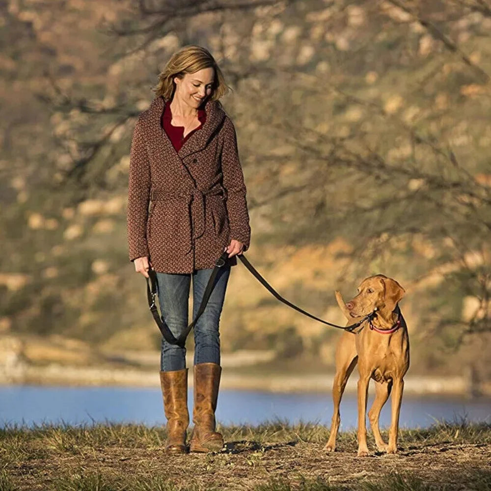 laisse 3 position pour chien