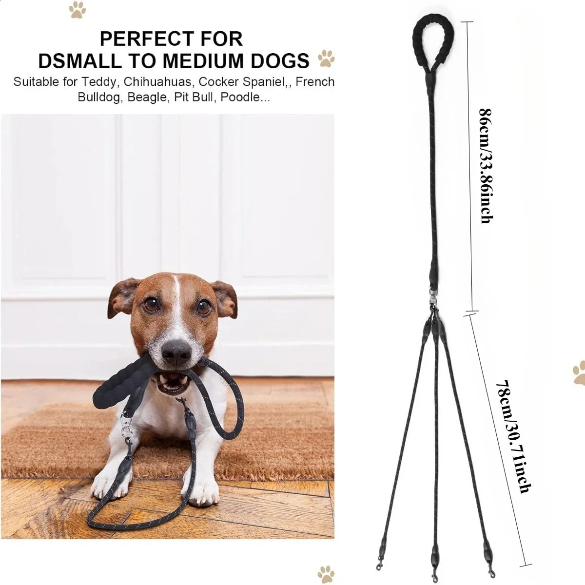 laisse pour promener 3 chien