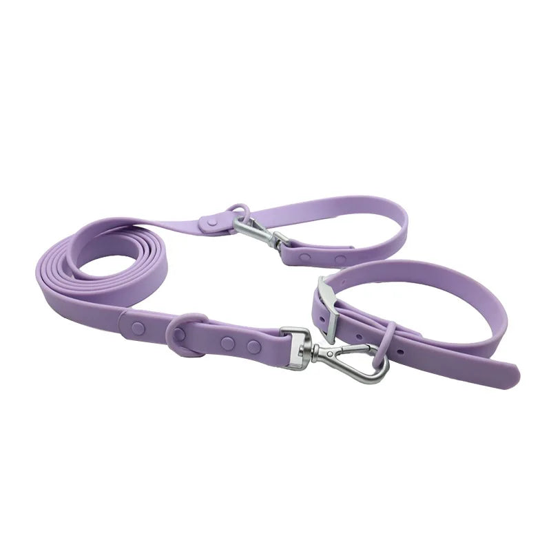 collier et laisse bleu brillante pour chien