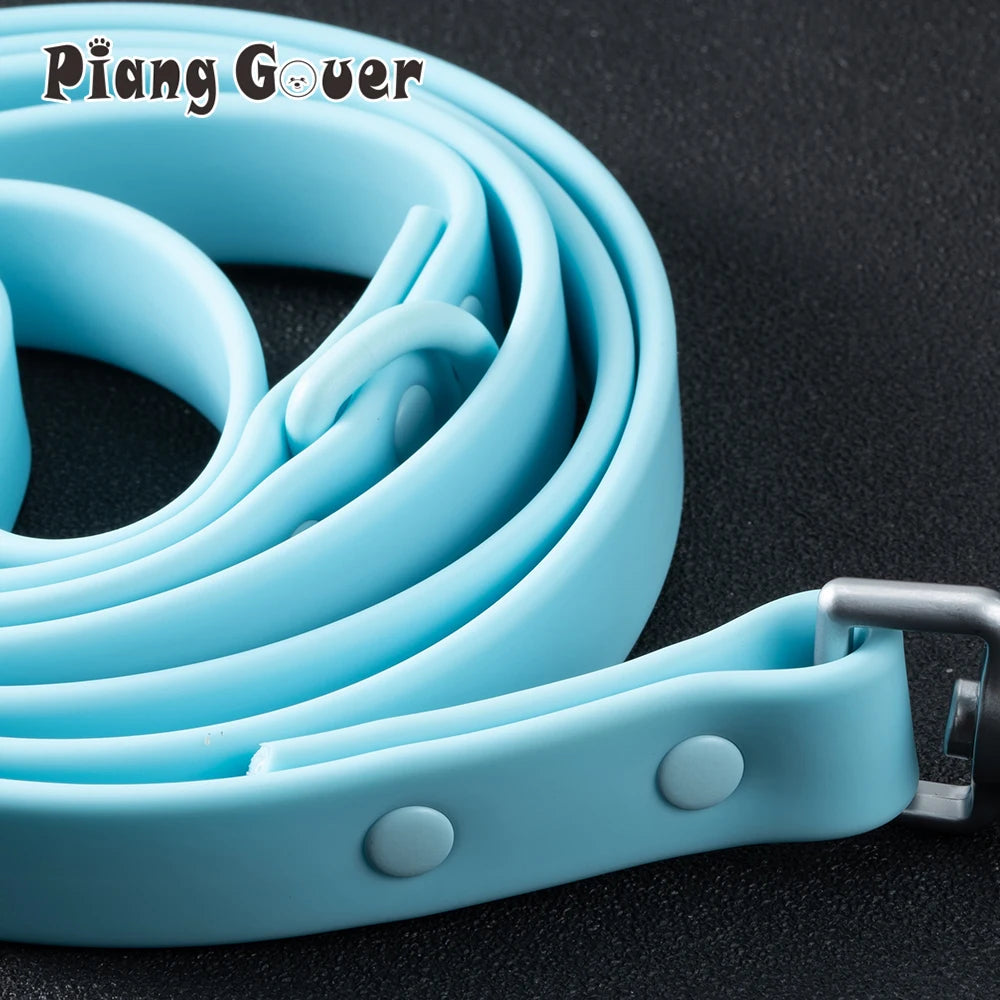 laisse pour chien berger australien