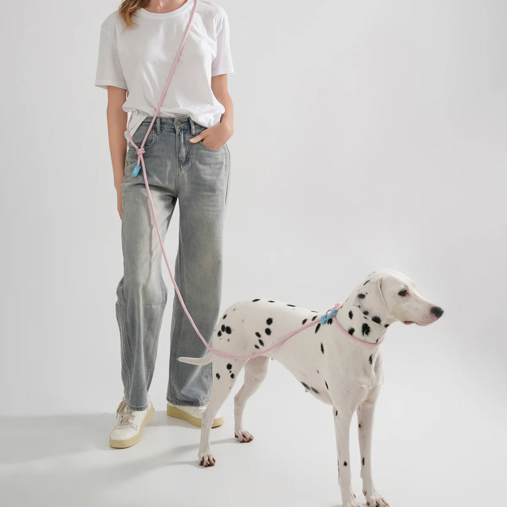 laisse bandoulière pour chien