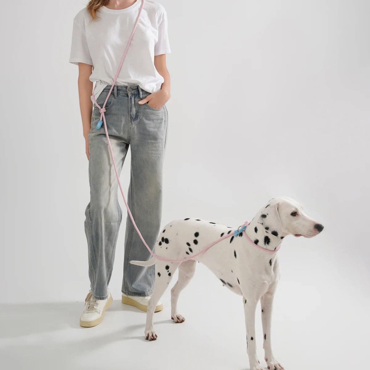 laisse bandoulière pour chien
