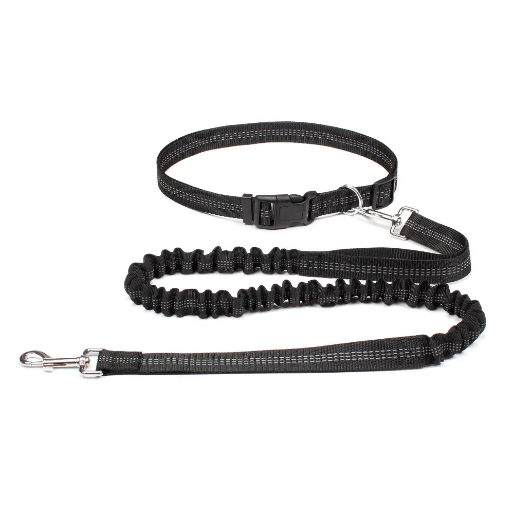 laisse ceinture pour chien