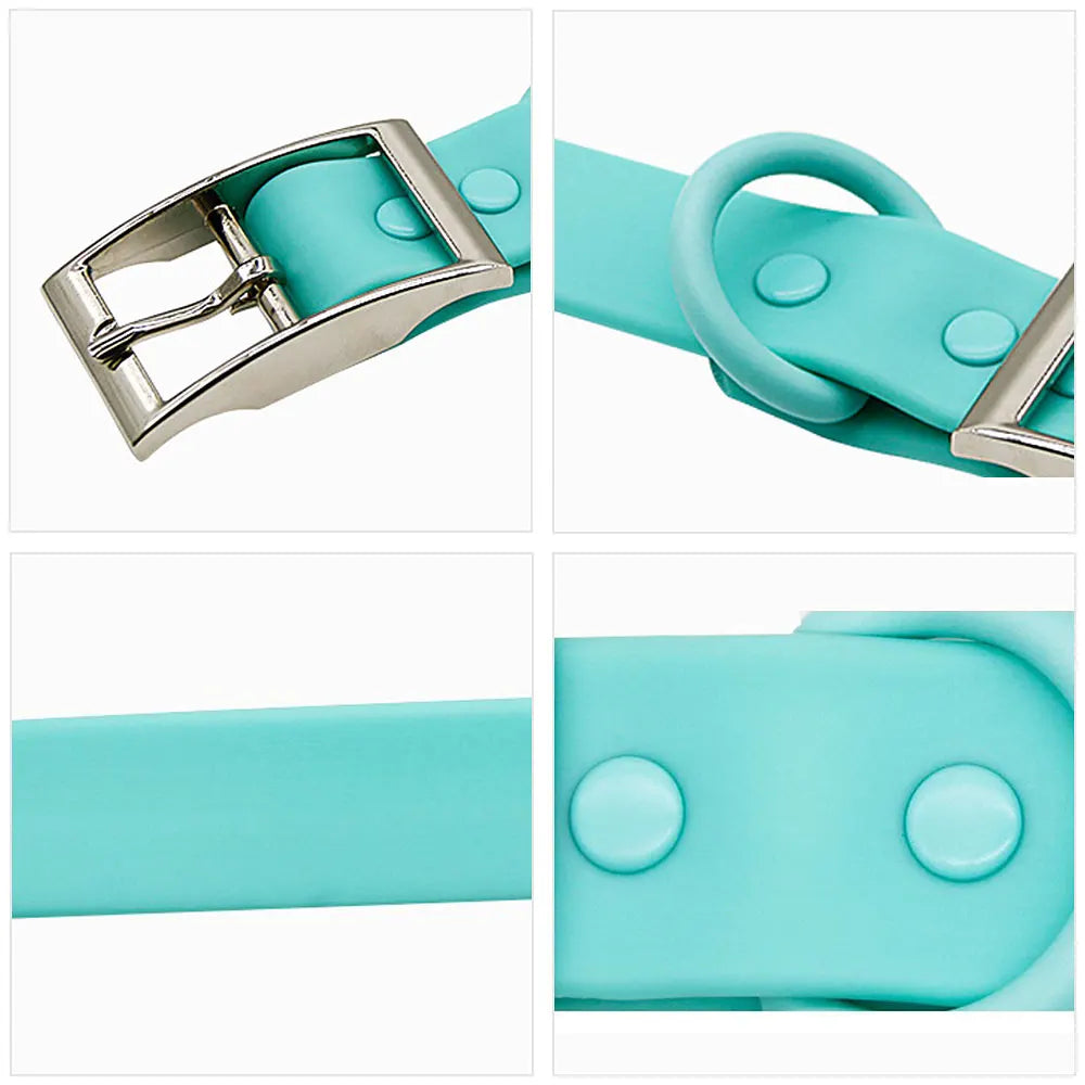 collier et laisse bleu brillante pour chien
