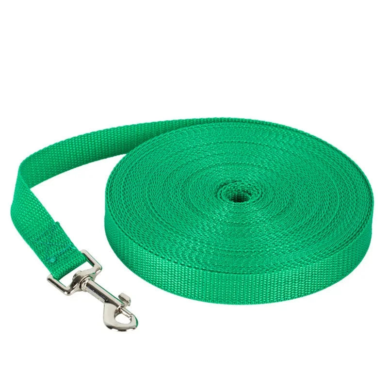 laisse ruban pour chien 10 15 kg
