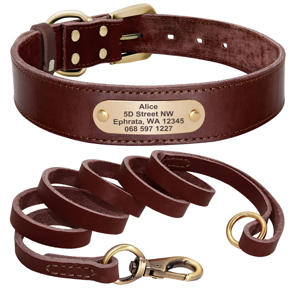 collier epais en cuire avec laisse pour gros chien