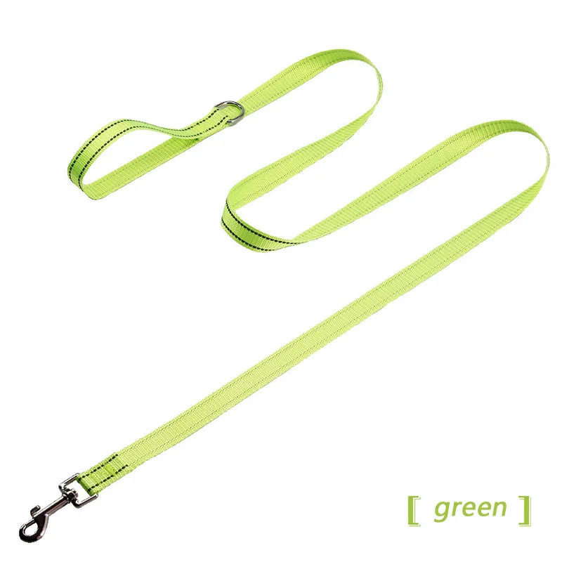 collier et laisse assorti pour chien