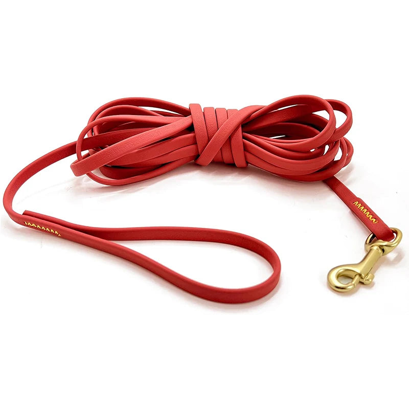 laisse pour chien en PVC