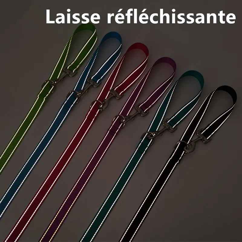 laisse rallonge pour chien
