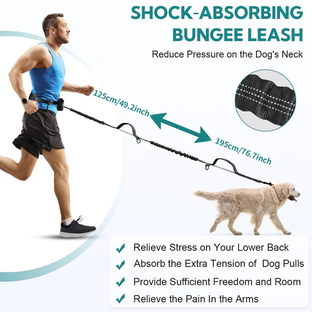double laisse pour chien ventrale avec rangement