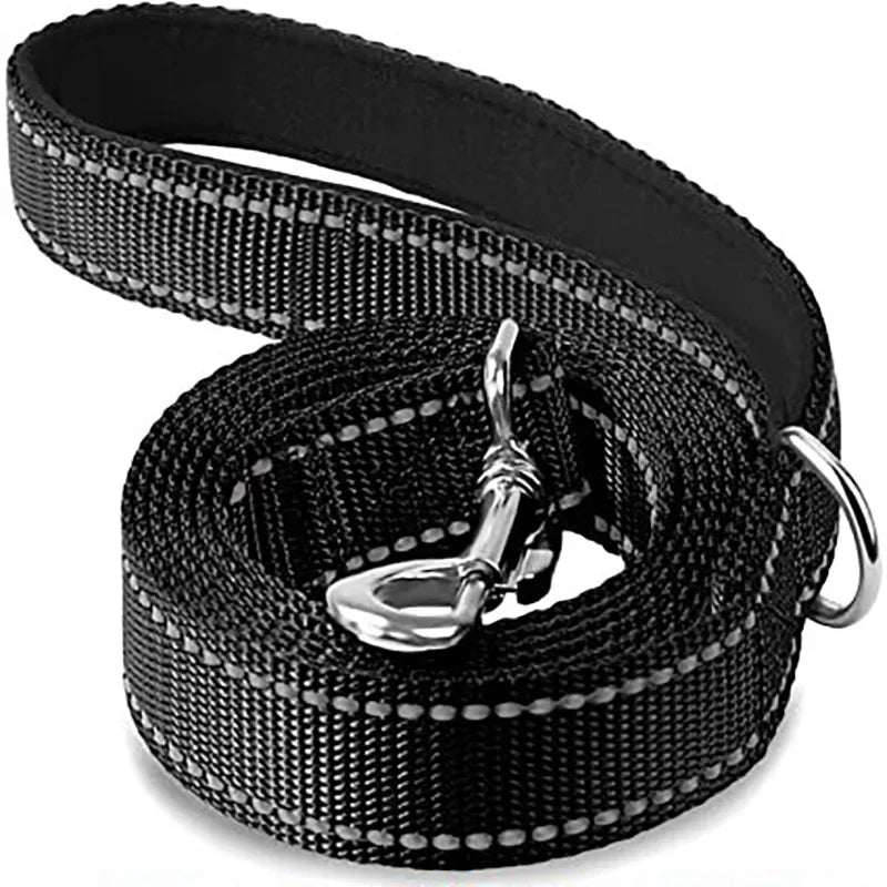 laisse sangle pour chien