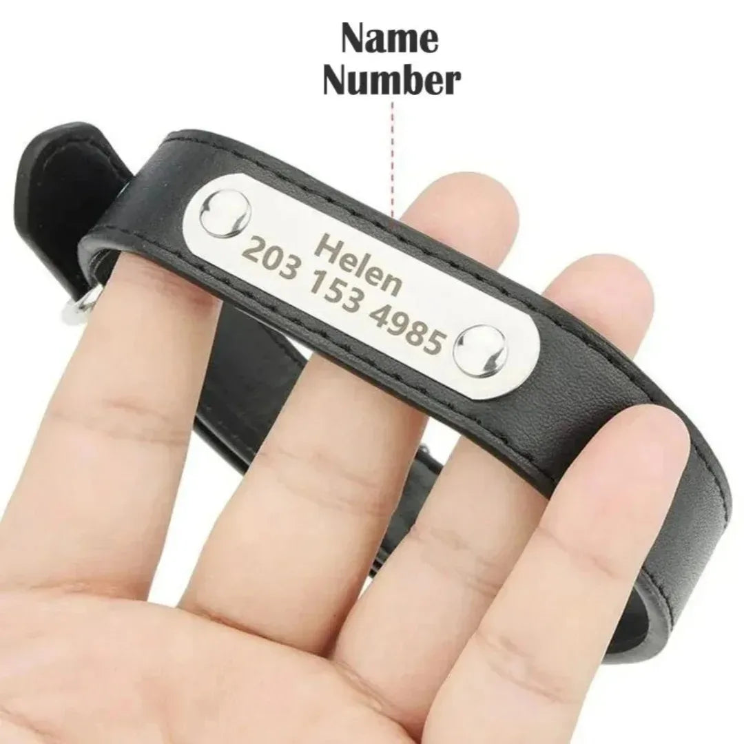 collier et laisse pour chien personaliser