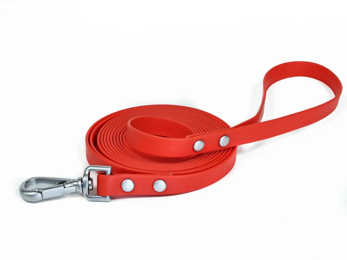 laisse orange pour chien