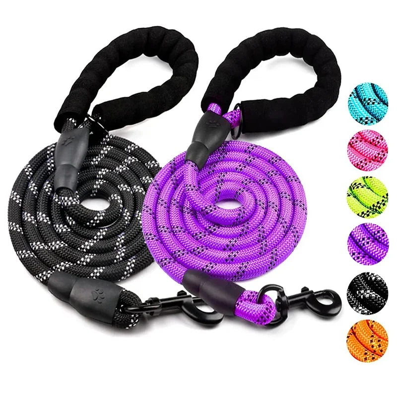 laisse ronde pour chien