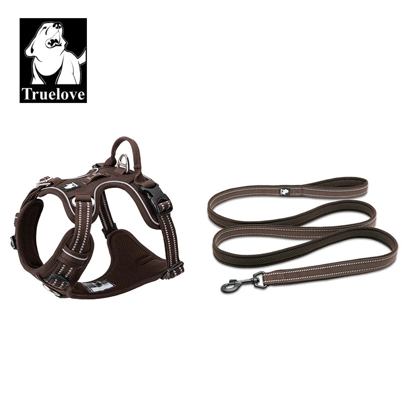 harnais laisse en nylon 2 cm largeur pour chien