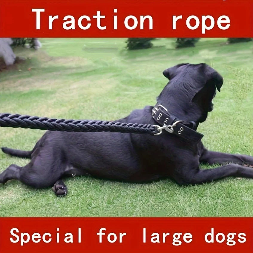 para corde laisse pour chien