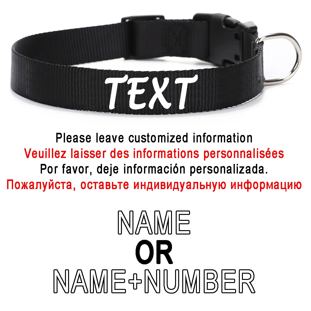collier pour chien laisser moi tranquille