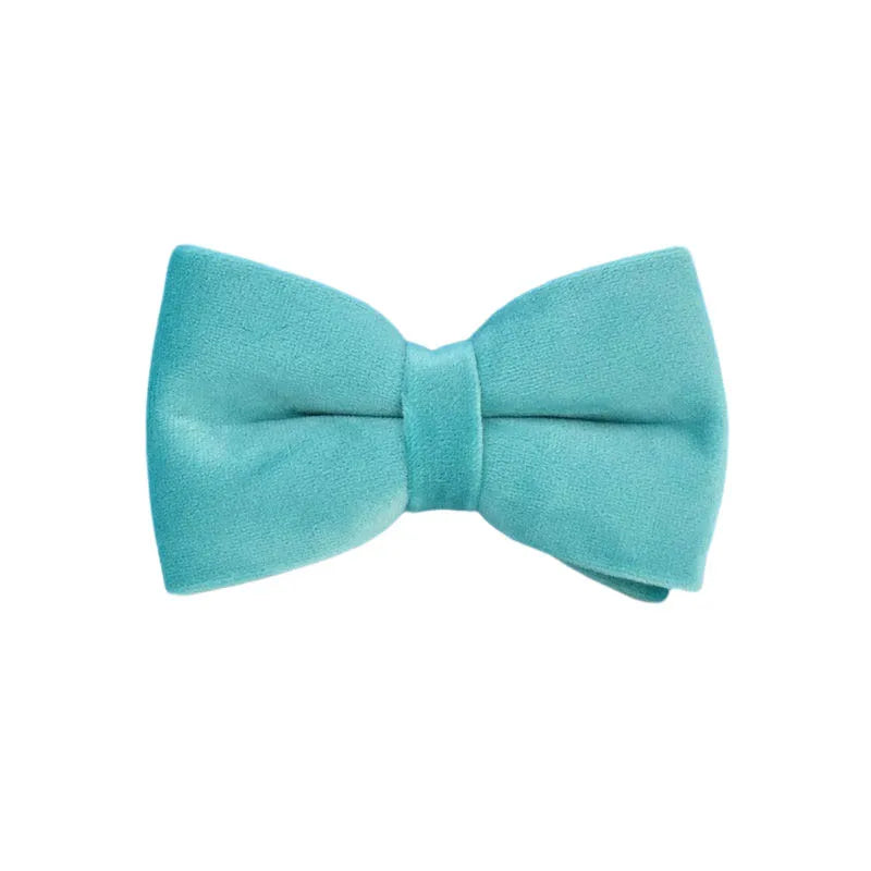 laisse d'exposition pour chien turquoise