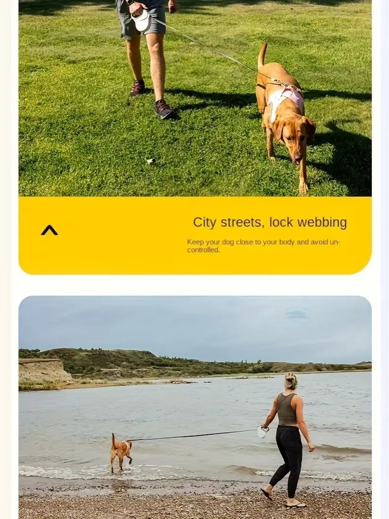 laisse enrouleur solide pour chien