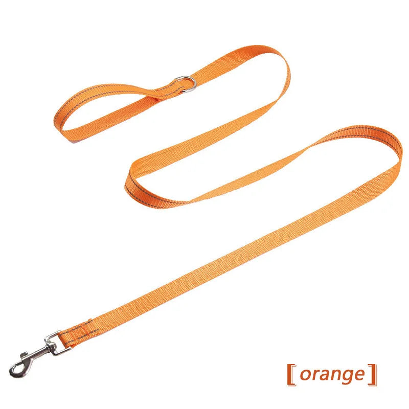 collier et laisse assorti pour chien