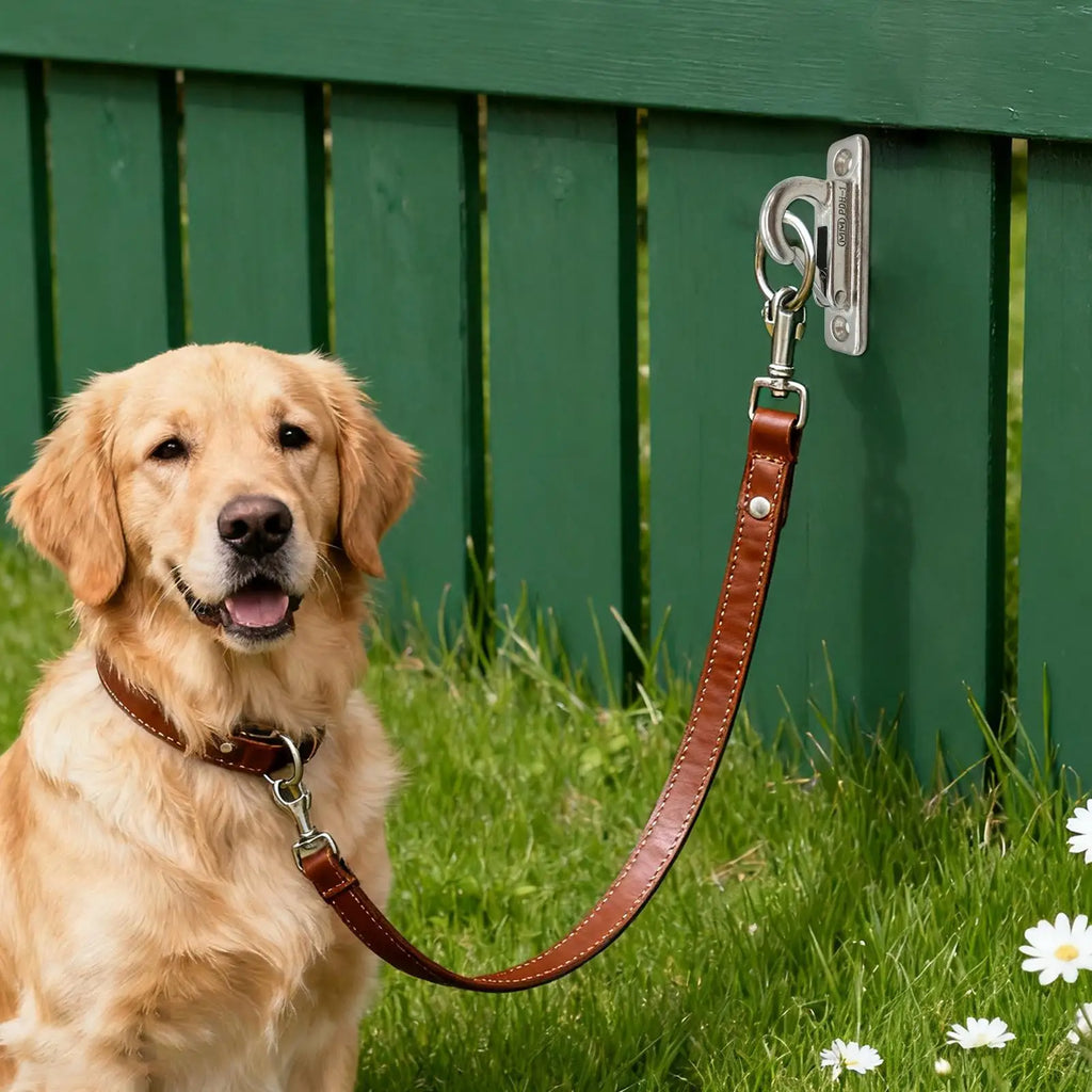 crochet mural pour laisse chien