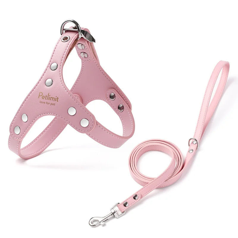 harnais cuir laisse pour petit chien yorkshire
