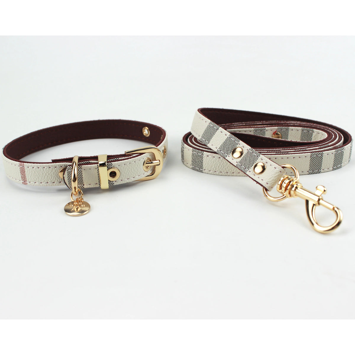 collier et laisse pour chien chic
