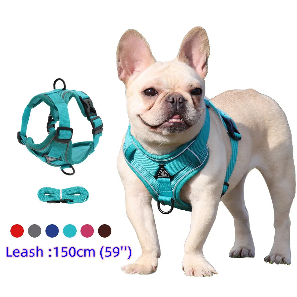 harnais laisse pour chien de moyen taille