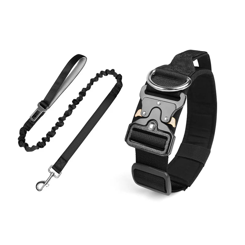 collier et laisse d'intervention pour chien berger allemand
