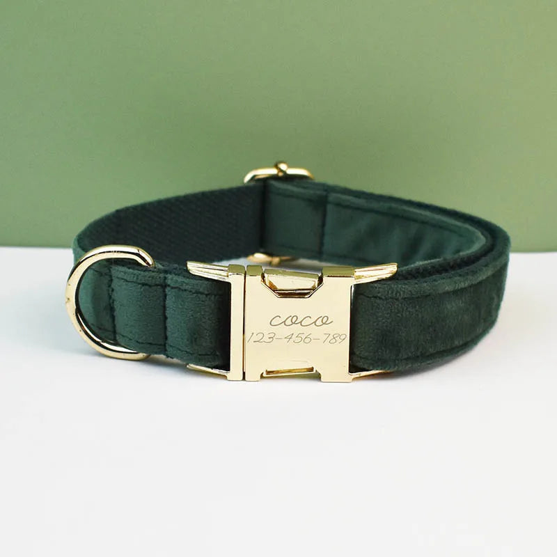 collier et laisse pour chihuahua