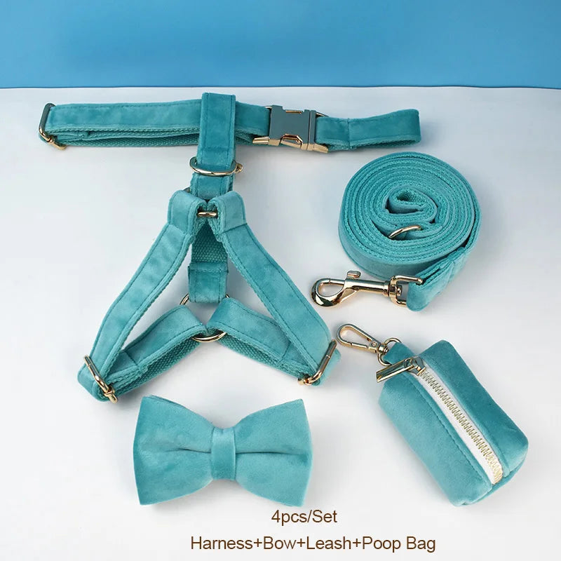 laisse d'exposition pour chien turquoise