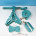 laisse d'exposition pour chien turquoise
