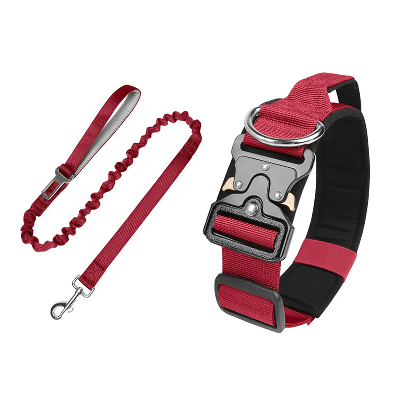 collier et laisse d'intervention pour chien berger allemand